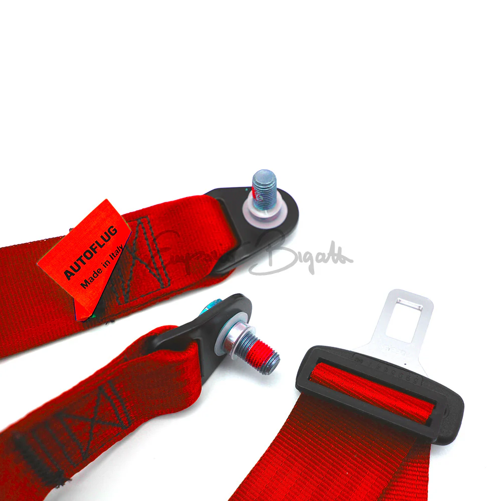 Cinture di sicurezza omologate statiche rosso | Fiat 500 N D F L R Giardiniera | - Image 2