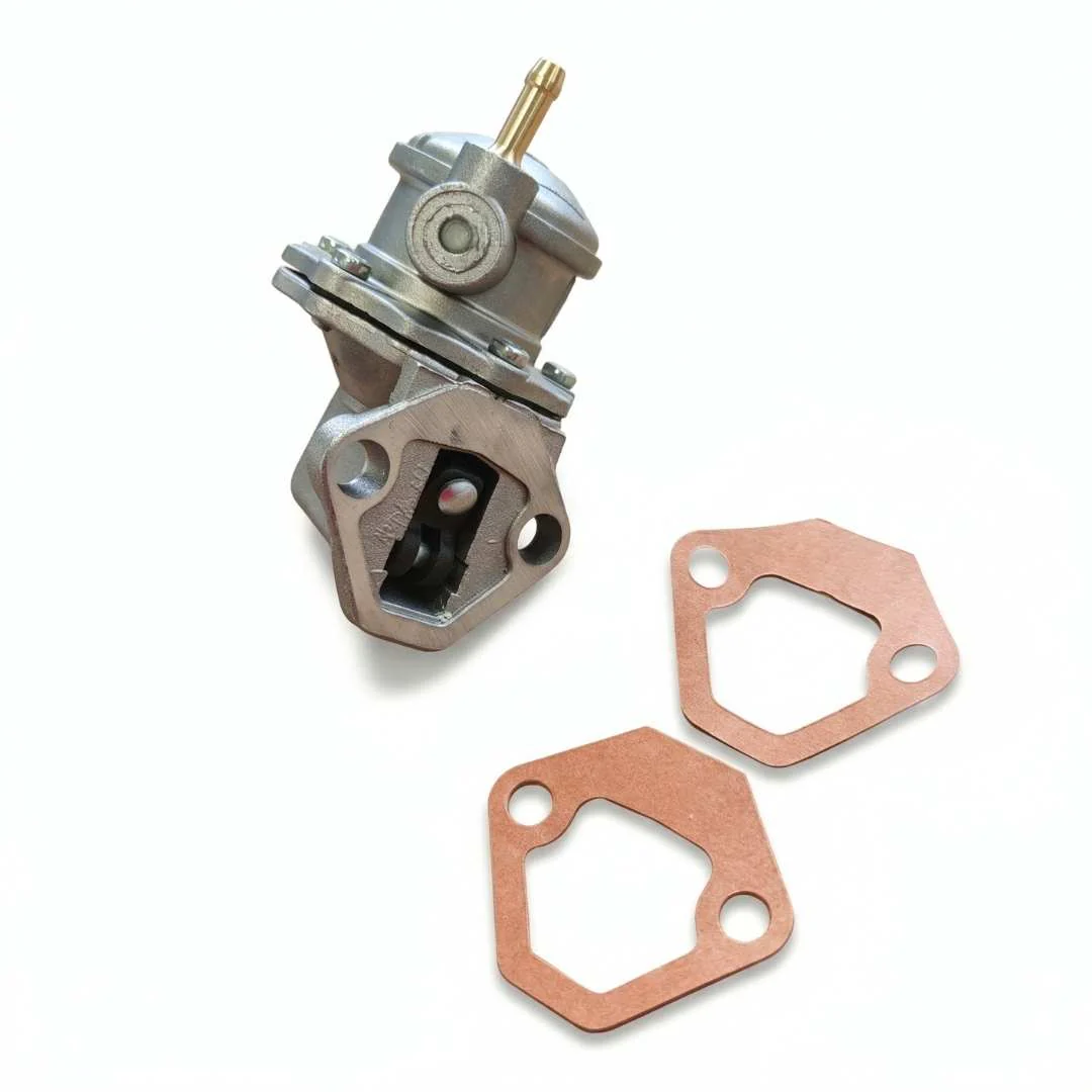 Pompa Benzina Inclinata Fiat 500 D F L R | Per Alternatore | Con Guarnizioni