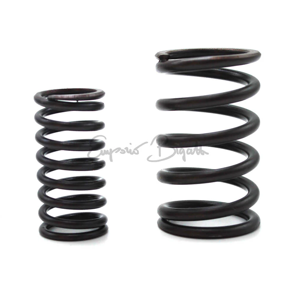 Serie completa Molle valvole interne e esterne | Fiat 500 R | - Image 2